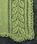 Lace Detail